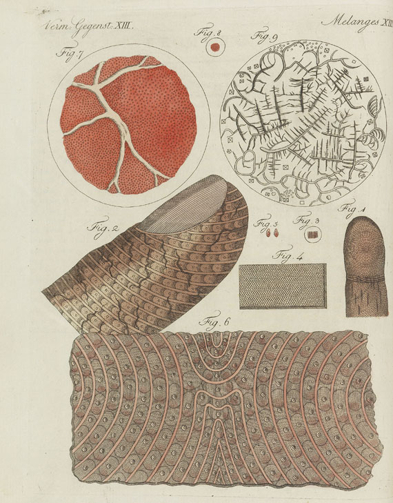 Friedrich Johann Justin Bertuch - Bilderbuch zum Nutzen und Vergnügen. 1801-1805. 10 Bde. in 9 Bdn. - Weitere Abbildung