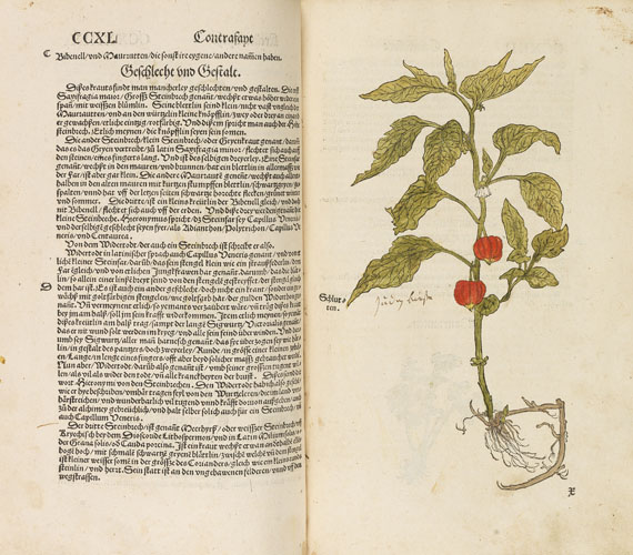 Otto Brunfels - Contrafayt Kreüterbuch. 1532-37. 2 Tle. in 1 Bd.