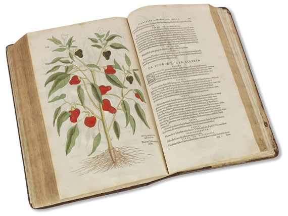 Leonhart Fuchs - De historia stirpium. 1542.