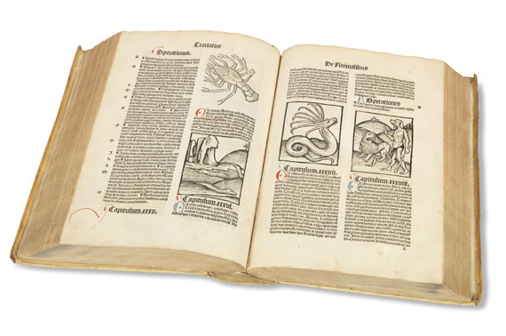   - Hortus sanitatis. 1497. - Weitere Abbildung