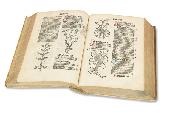   - Hortus sanitatis. 1497. - Weitere Abbildung