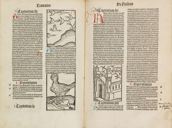 Hortus sanitatis - Hortus sanitatis. 1497.