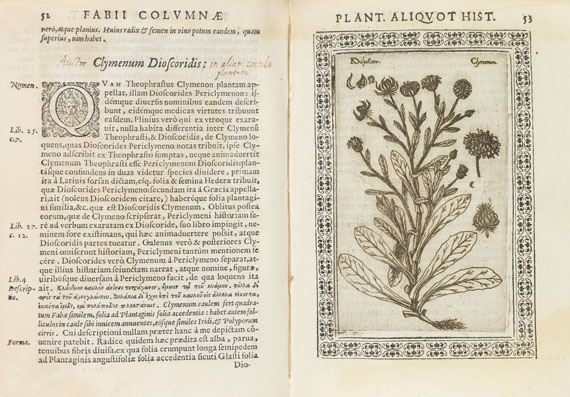 Fabius Columna - Phytobasanos sive Plantarum. 1592.