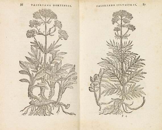 Rembertus Dodonaeus - Purgantium. 1574