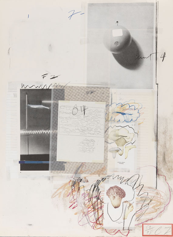 Cy Twombly - Natural History Part I, Mushrooms