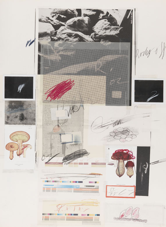 Cy Twombly - Natural History Part I, Mushrooms