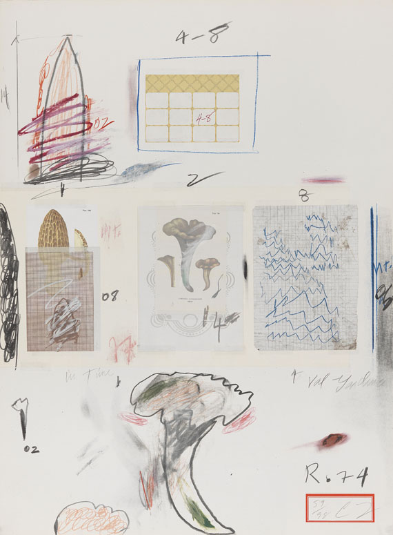 Cy Twombly - Natural History Part I, Mushrooms