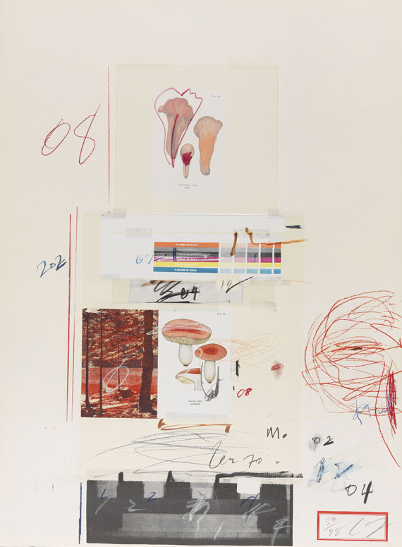 Cy Twombly - Natural History Part I, Mushrooms