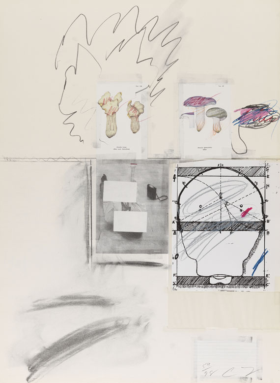 Cy Twombly - Natural History Part I, Mushrooms