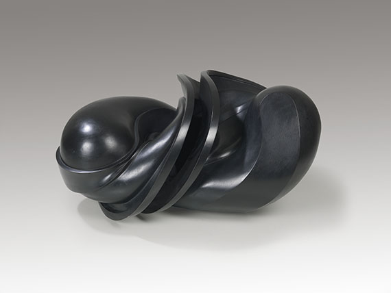 Tony Cragg - Knot (Early Forms) - Weitere Abbildung