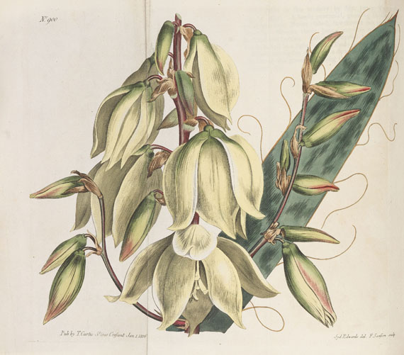 William Curtis - The Botanical Magazine. 46 Bde. 1787-1842.