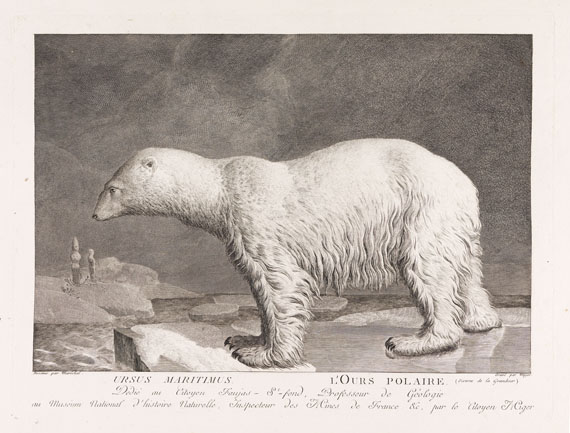 B. G. E. de Lacépède - La ménagerie du Museum National d`Histoire Naturelle. 1800-1801. - Weitere Abbildung