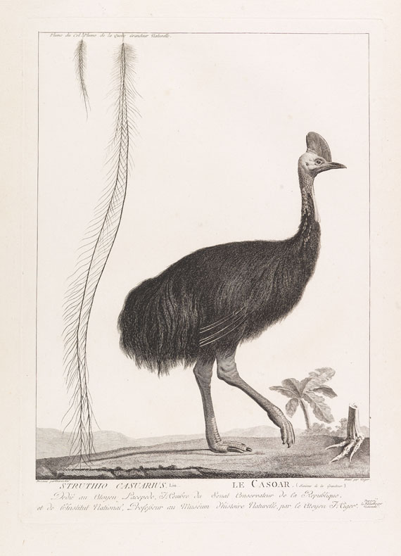 B. G. E. de Lacépède - La ménagerie du Museum National d`Histoire Naturelle. 1800-1801. - Weitere Abbildung