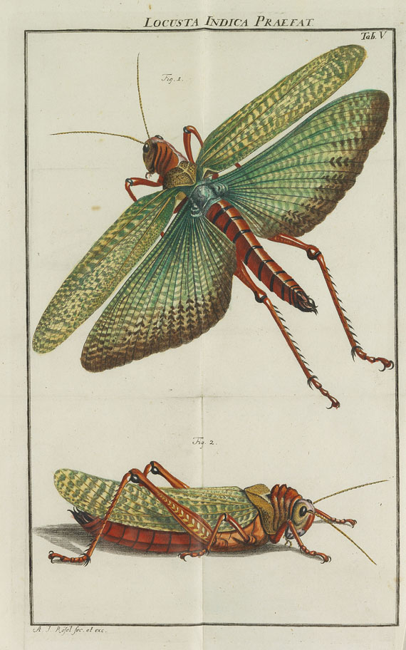 August J. Rösel von Rosenhof - Insecten-Belustigung. 4 Bde. 1759-92