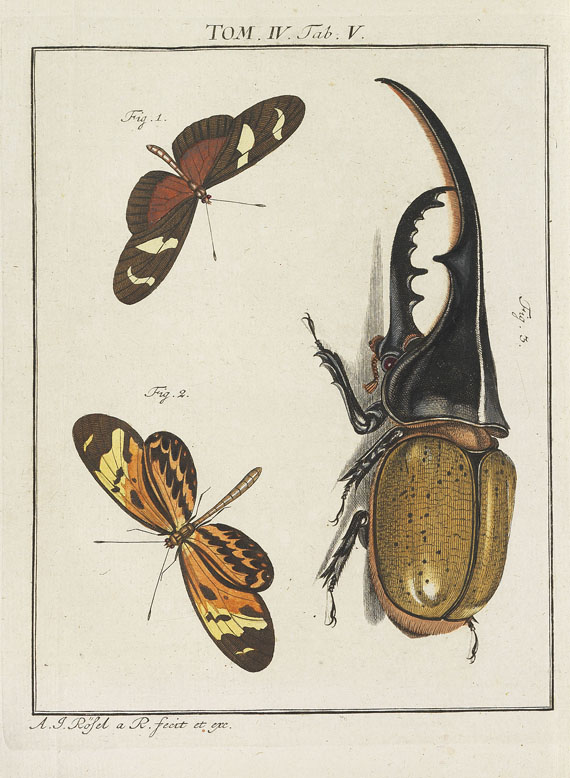 August J. Rösel von Rosenhof - Insecten-Belustigung. 4 Bde. 1759-92