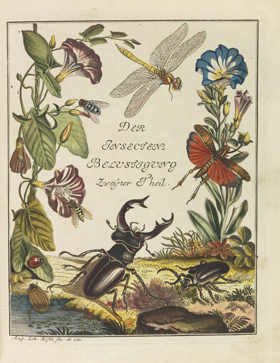 August J. Rösel von Rosenhof - Insecten-Belustigung. 4 Bde. 1759-92