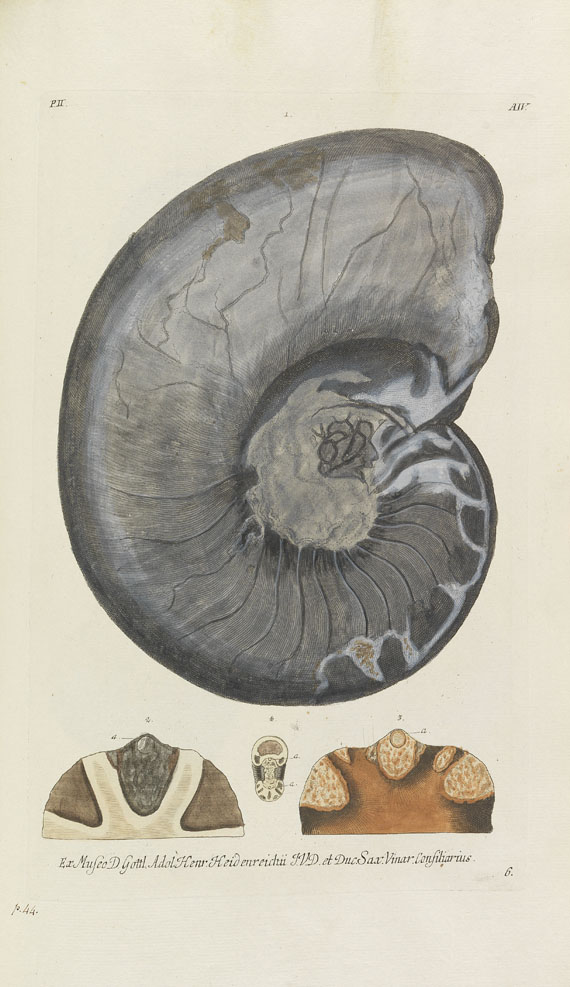 Georg W. Knorr - Recueil des monumens des catastrophes. 4 Bde. 1768-1778 - Weitere Abbildung