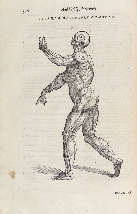 Andreas Vesalius - De humani corporis fabrica. 1568