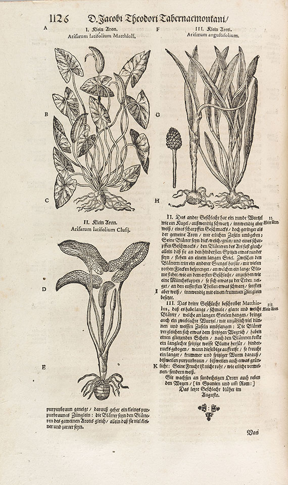 J. Th. Tabernaemontanus - Kräuter-Buch.1687