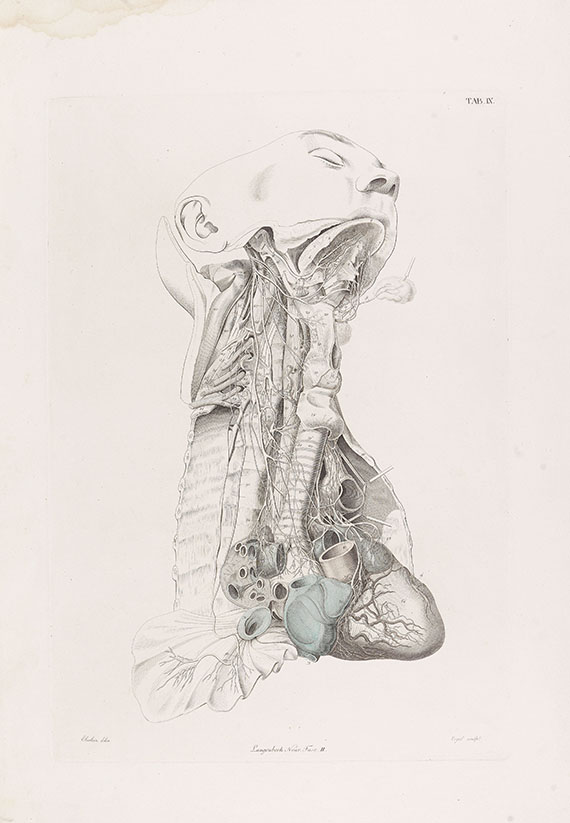 C. J. M. Langenbeck - Icones anatomicae. 1826ff. 9 Tle.