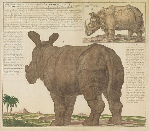  Tiere - 1 Bl. Abbildliche Geschichte ... Nashorn (Homann Erben, 1747).