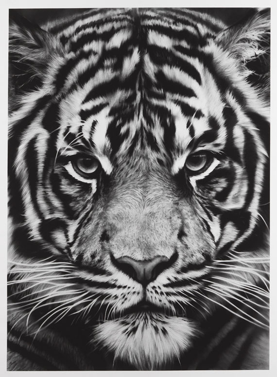 Robert Longo - Ohne Titel (Tiger)