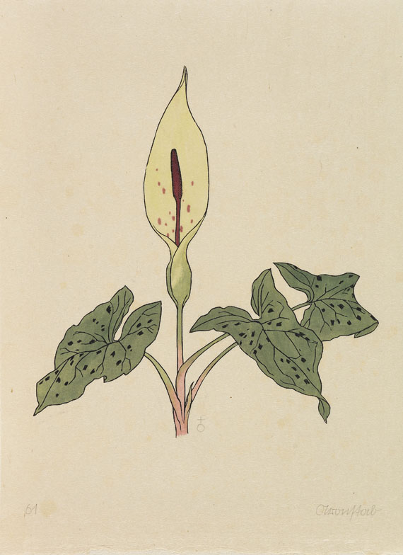 Rudolf Koch - Das Blumenbuch. 12 Mappen. 1923-30. Ex. der Luxusausgabe. - Weitere Abbildung