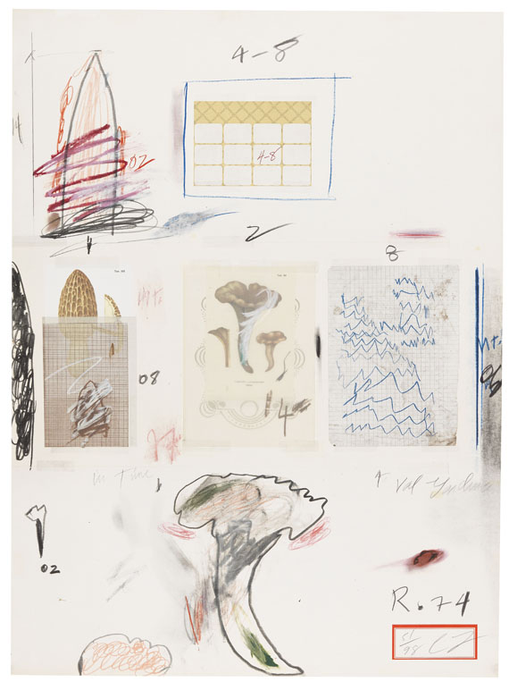 Cy Twombly - Natural History Part I - Mushrooms (No. VI)