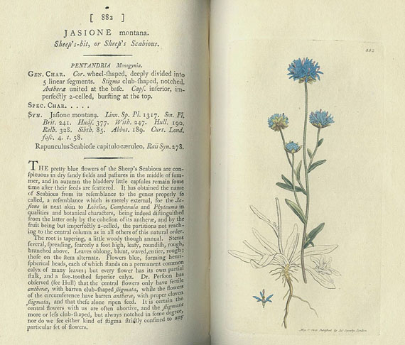 James Sowerby - Smith, English botany. 7 Bde. 1801-12