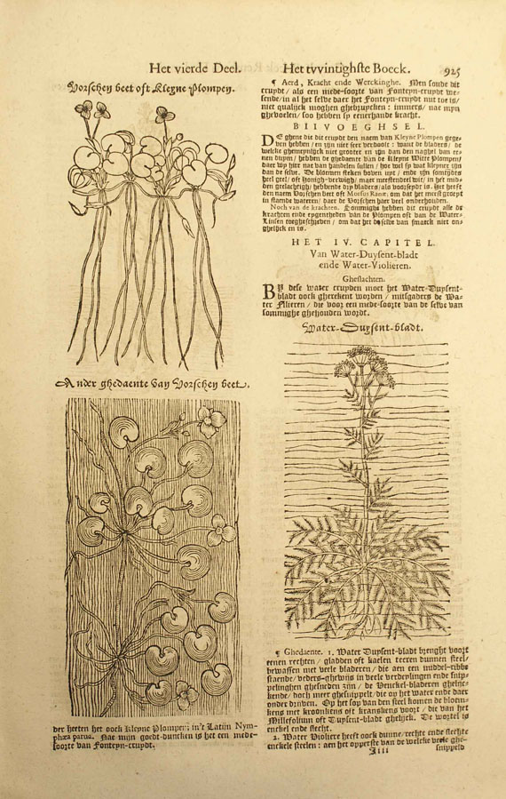 Rembertus Dodonaeus - Crydt-Boeck. 1644