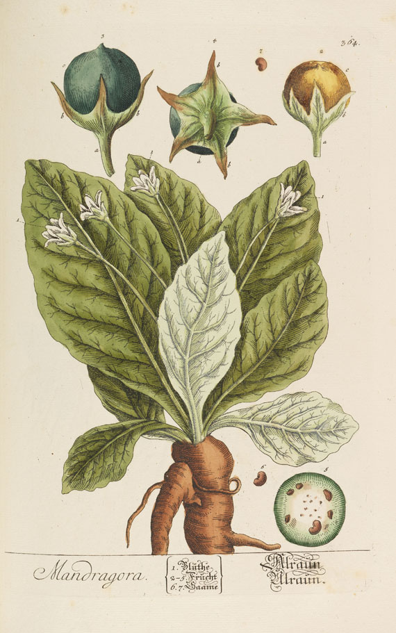 Elisabeth Blackwell - Herbarium selectum. Bd. 3 und 4 in 1 Bd.