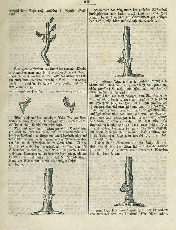   - Fürst, Vereinigte Frauendorfer Blätter. 1844-76. 24 Bde.  - Dabei: Gaucher