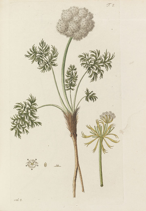 Nicolaus Joseph Jacquin - Miscellanea Austriaca ad botanicam