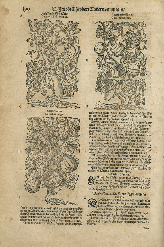 Jacob Theodor Tabernaemontanus - Kraeuterbuch. 2 Bde.