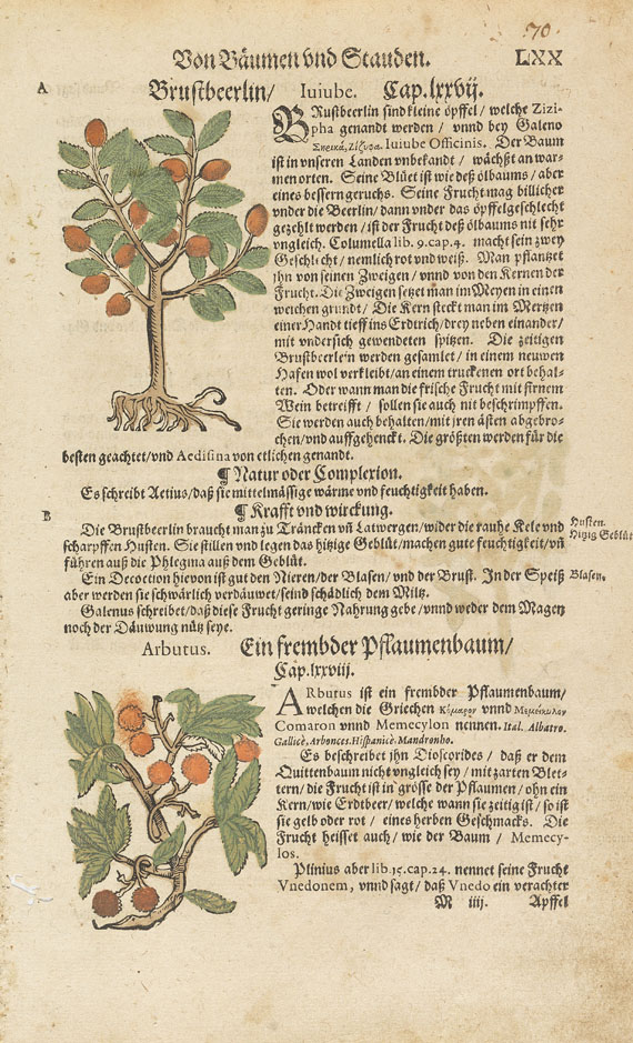 Kräuterbücher - Ca. 400 Bll. Heilpflanzen, Kräuterbuchholzschnitte etc. (Fuchs, Brunfels, Mattioli).