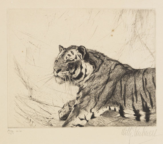 Wilhelm Kuhnert - 4 Bll: Indischer Elefant. Tiger. Löwen. Löwe sitzend - Weitere Abbildung