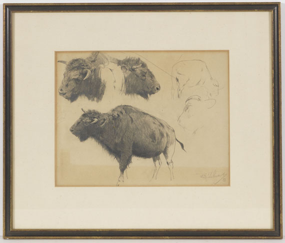 Wilhelm Kuhnert - Wisent und Wisentkopf-Studien - Rahmenbild