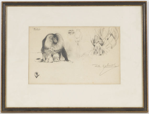 Wilhelm Kuhnert - Bartaffe (Wanderu/M.silenus) - Rahmenbild