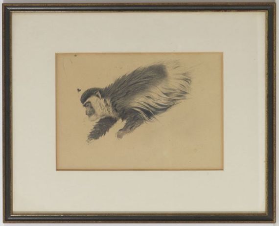 Wilhelm Kuhnert - Afrikanischer Hundsaffe / Stummelaffe (Colobus guereza) - Rahmenbild
