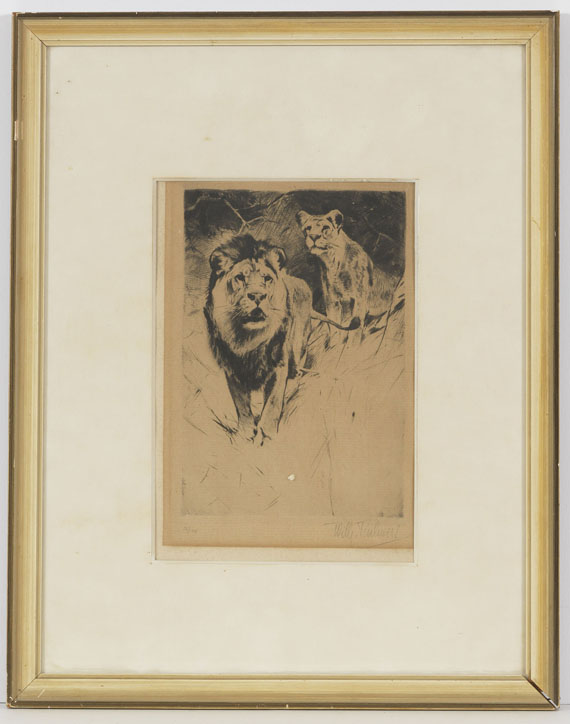 Wilhelm Kuhnert - 4 Bll: Indischer Elefant. Tiger. Löwen. Löwe sitzend - Rahmenbild