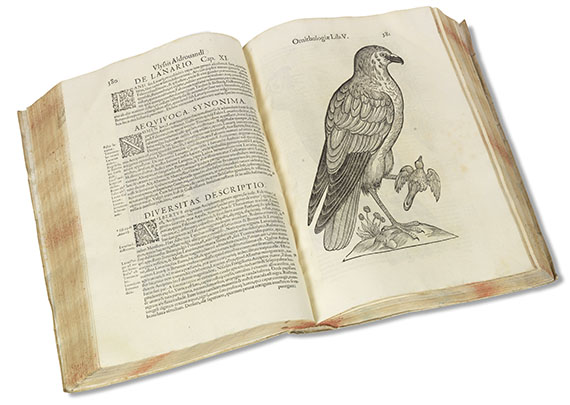 Ulisse Aldrovandi - Ornithologiae. 1599