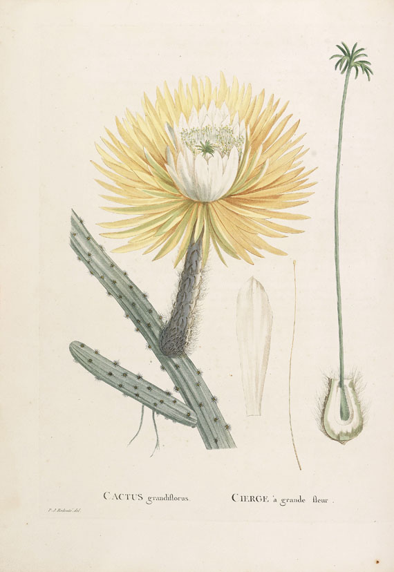 Pierre Joseph Redouté - Candolle, Histoire des Plantes grasses. 2 Bde.