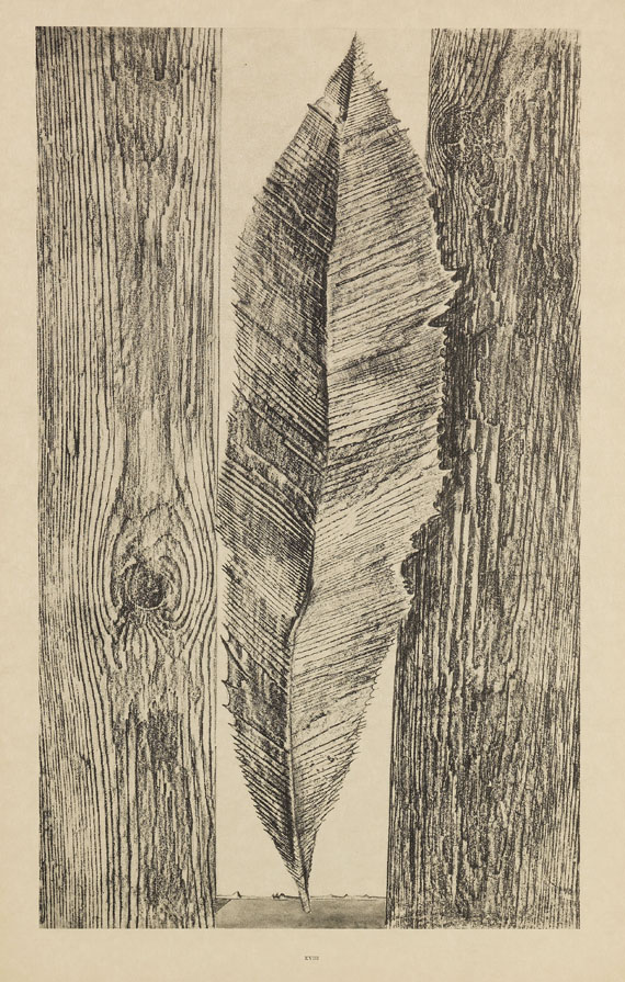 Max Ernst - Histoire naturelle - Weitere Abbildung
