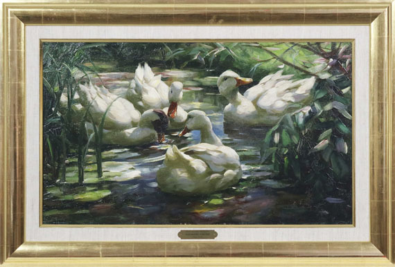 Koester - Enten auf dem Waldweiher