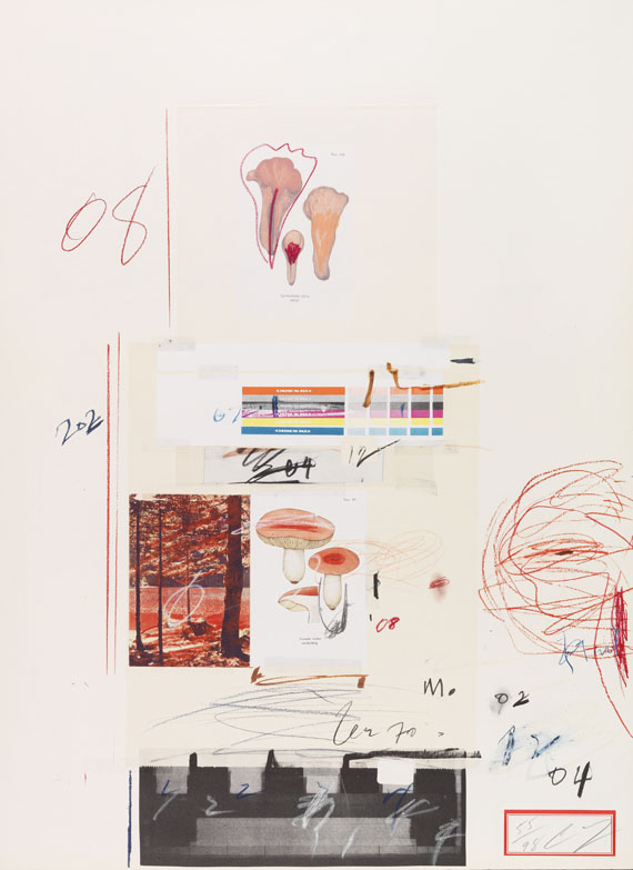 Cy Twombly - Natural History Part I, Mushrooms