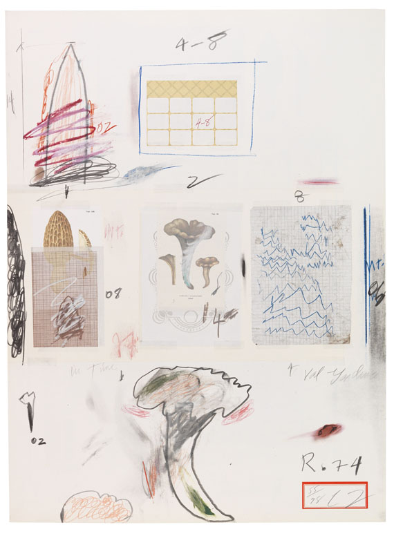 Cy Twombly - Natural History Part I, Mushrooms