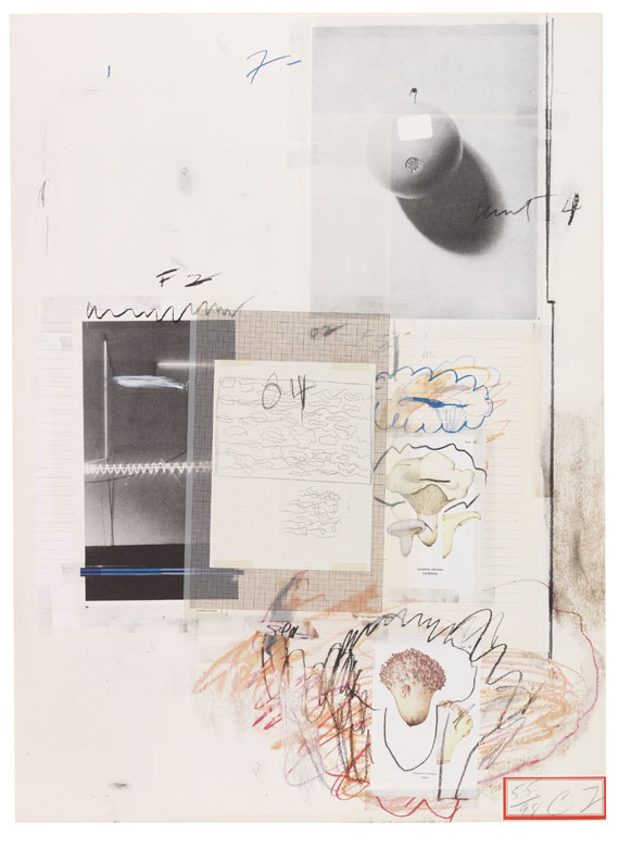 Cy Twombly - Natural History Part I, Mushrooms - Weitere Abbildung