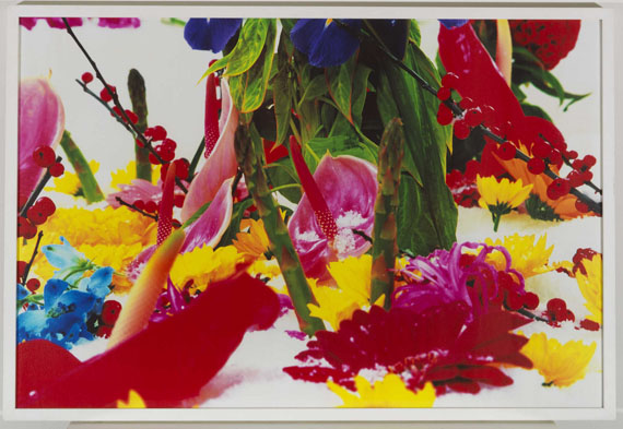 Marc Quinn - Winter Garden - Rahmenbild