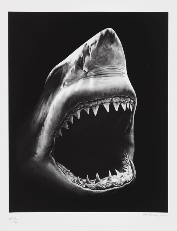 Robert Longo - Shark 5