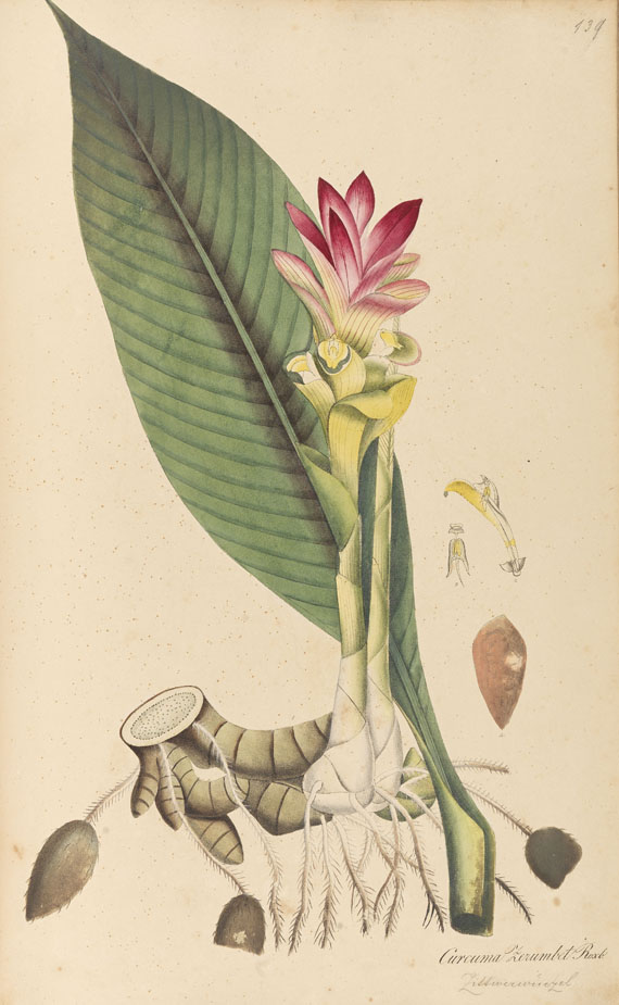 Theodor F. L. Nees von Esenbeck - Plantae Medicinales. 3 Bde.